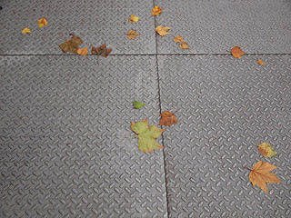 Image showing Leaves on pavement