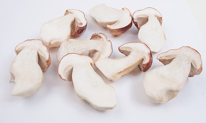 Image showing Porcini Mushroom