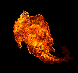 Image showing Fire