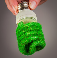 Image showing Concept Eco light bulb