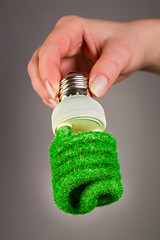 Image showing Concept Eco light bulb