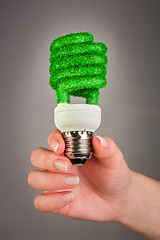 Image showing Concept Eco light bulb