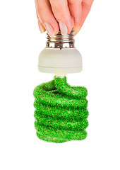 Image showing Concept Eco light bulb