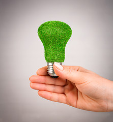 Image showing Concept Eco light bulb