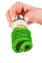 Image showing Concept Eco light bulb