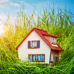 Image showing House on the green grass