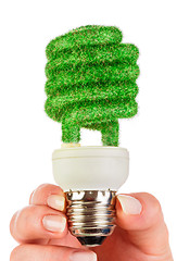 Image showing Concept Eco light bulb