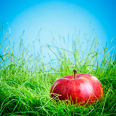 Image showing Apple on the grass