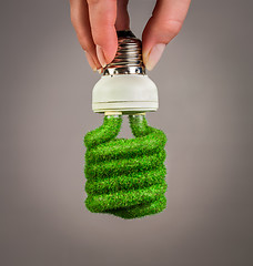 Image showing Concept Eco light bulb