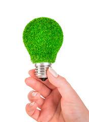 Image showing Concept Eco light bulb