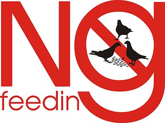 Image showing Prohibition on feeding pigeons