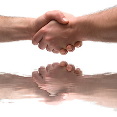 Image showing Handshake