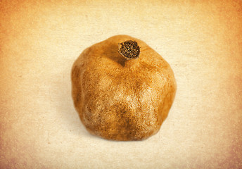 Image showing Vintage pomegranate