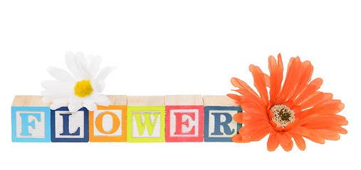 Image showing Letter blocks spelling flower with artificial flowers