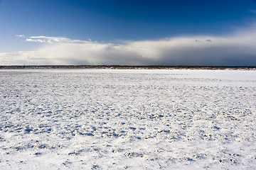 Image showing Snow Field