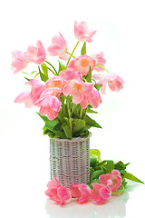 Image showing Beautiful tulips in basket