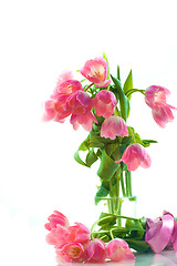 Image showing Beautiful tulips in glass vase