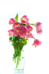 Image showing Beautiful tulips in glass vase