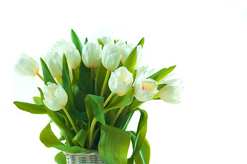 Image showing Beautiful tulips in basket