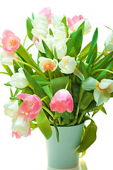 Image showing Beautiful tulips in pot