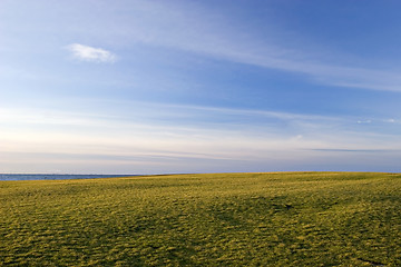 Image showing Green Field