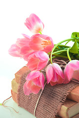 Image showing Pink tulips on old books