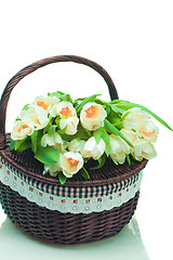 Image showing Beautiful tulips in basket