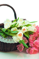 Image showing Beautiful tulips in basket