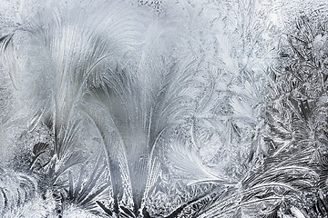 Image showing Ice Patterns On A Winter Window