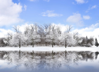 Image showing Winter Landscape