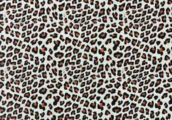 Image showing Leopard Spots Background 