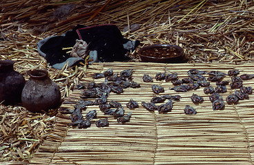 Image showing Lake Titicaca