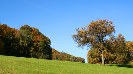 Image showing rural autumn scenery