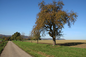 Image showing autumn scenery