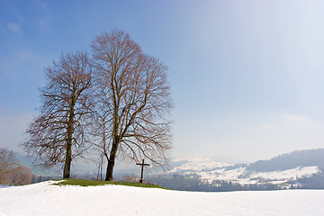 Image showing Two trees and a cross