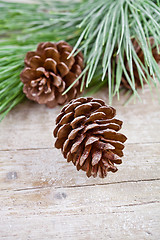 Image showing christmas fir tree with pinecones