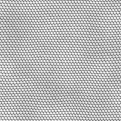 Image showing seamless white snakeskin texture