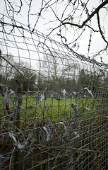 Image showing Barbed Wire