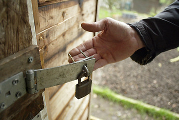 Image showing Security on Garden Shed