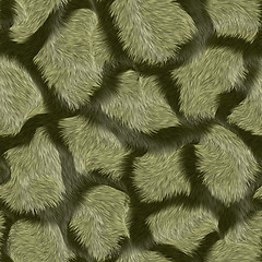 Image showing abstract light green fur