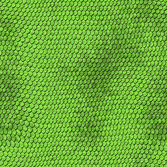 Image showing Green python snake skin texture background.