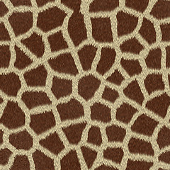 Image showing Giraffe skin print