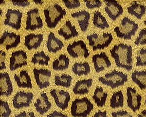 Image showing Texture of a short sand color leopard fur