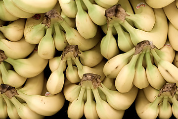 Image showing bunches of bananas