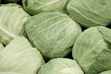 Image showing Green Cabbages