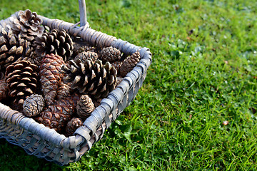 Image showing Closeup of a woven basket of pine cones