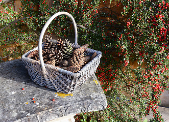 Image showing Pine cones in a rustic basket with red berries