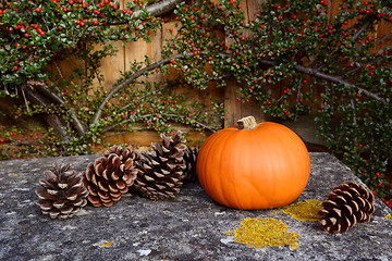 Image showing Small pumpkin and fir cones on a stone bench