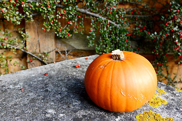 Image showing Orange pumpkin on lichen-covered stone