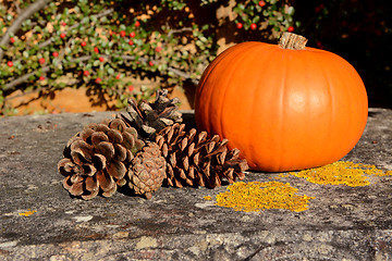 Image showing Fir cones and ripe pumpkin in warm sunlight